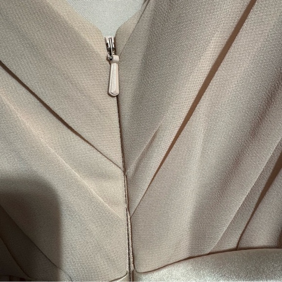 NWT Sorella Vita York Dress #8614 Full Length silk and satin Blush Size 12 - Picture 6 of 11